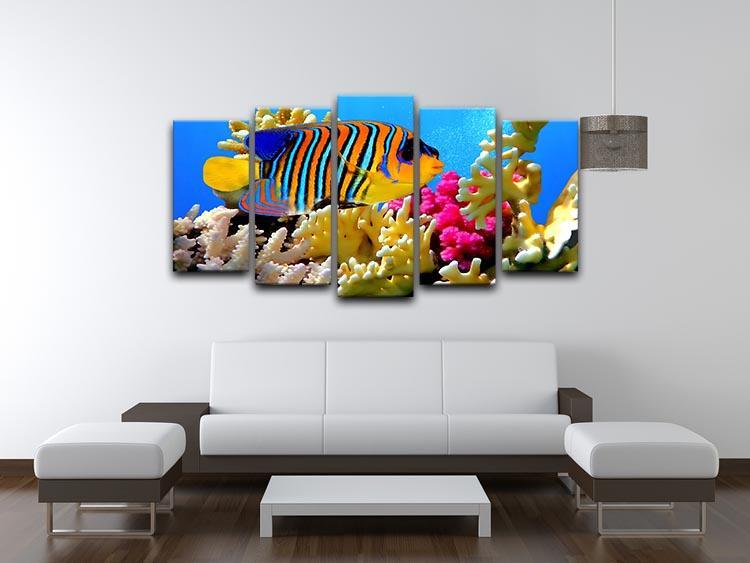 Regal angelfish 5 Split Panel Canvas  - Canvas Art Rocks - 3
