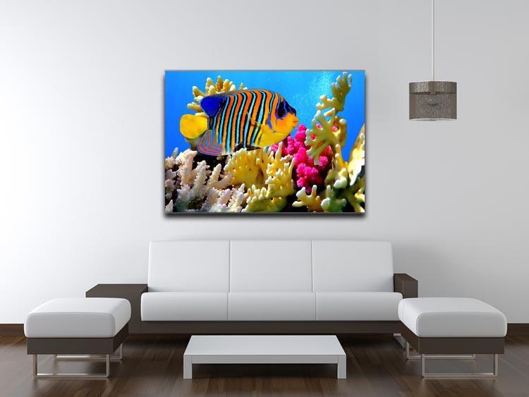 Regal angelfish Canvas Print or Poster - Canvas Art Rocks - 4
