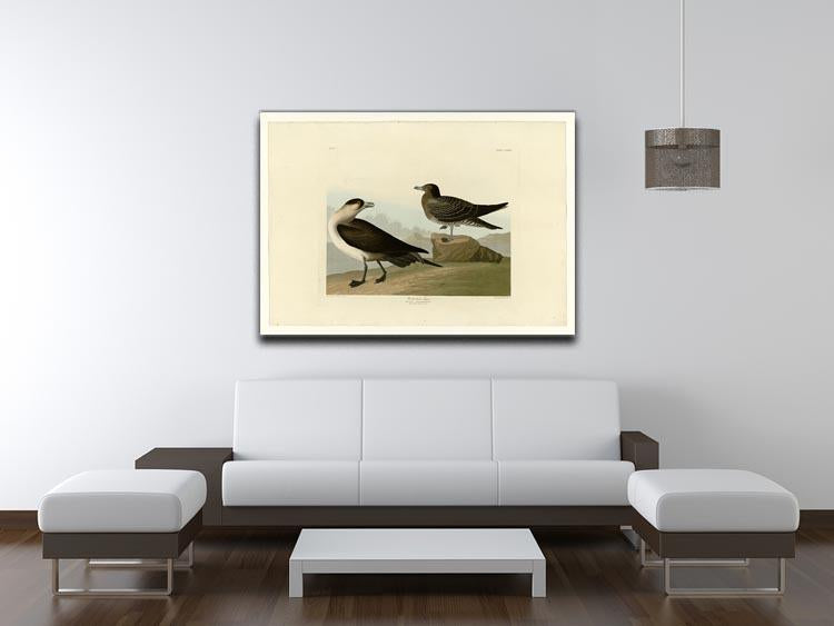 Richardsons Jager by Audubon Canvas Print or Poster - Canvas Art Rocks - 4