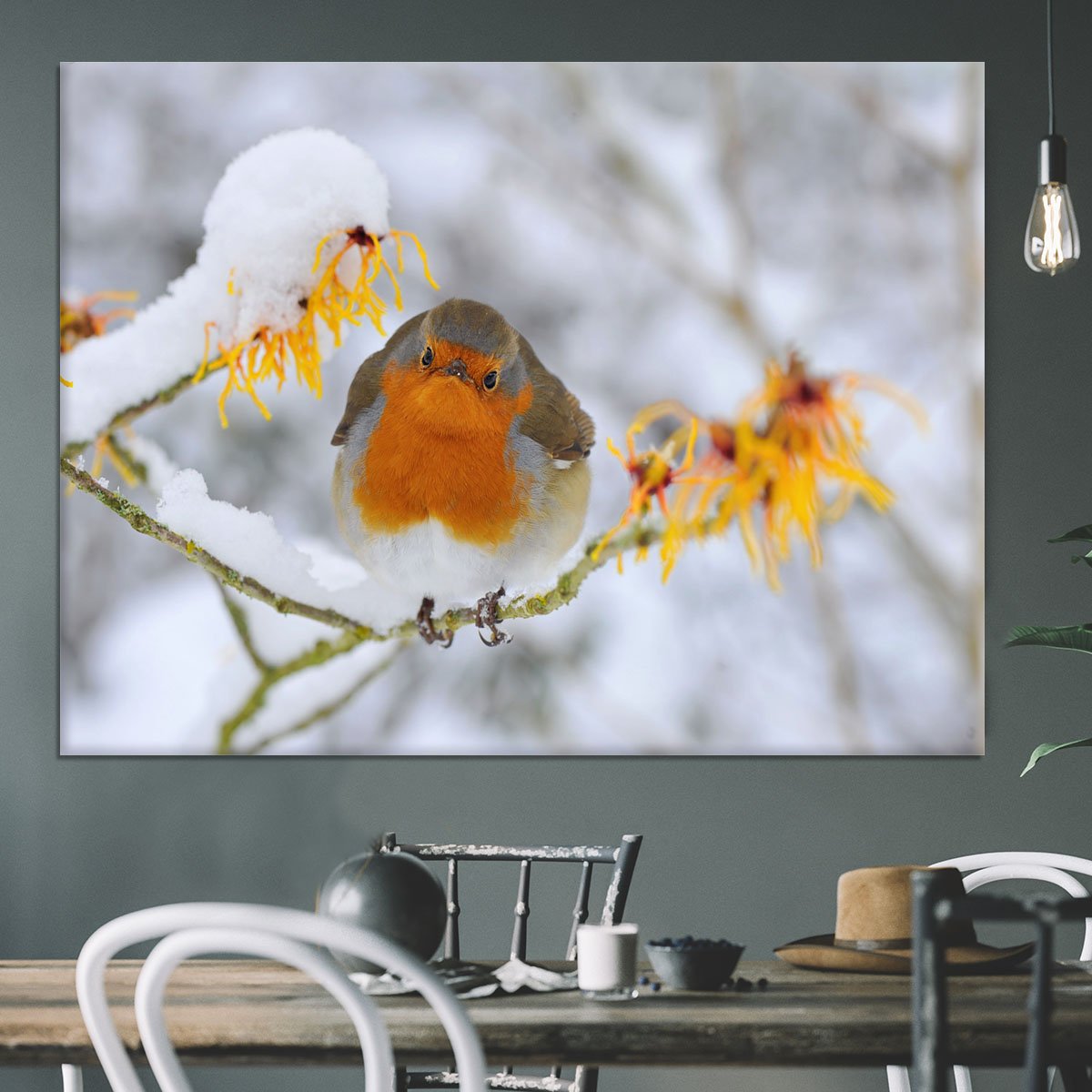 Robin in the Snow Canvas Print or Poster