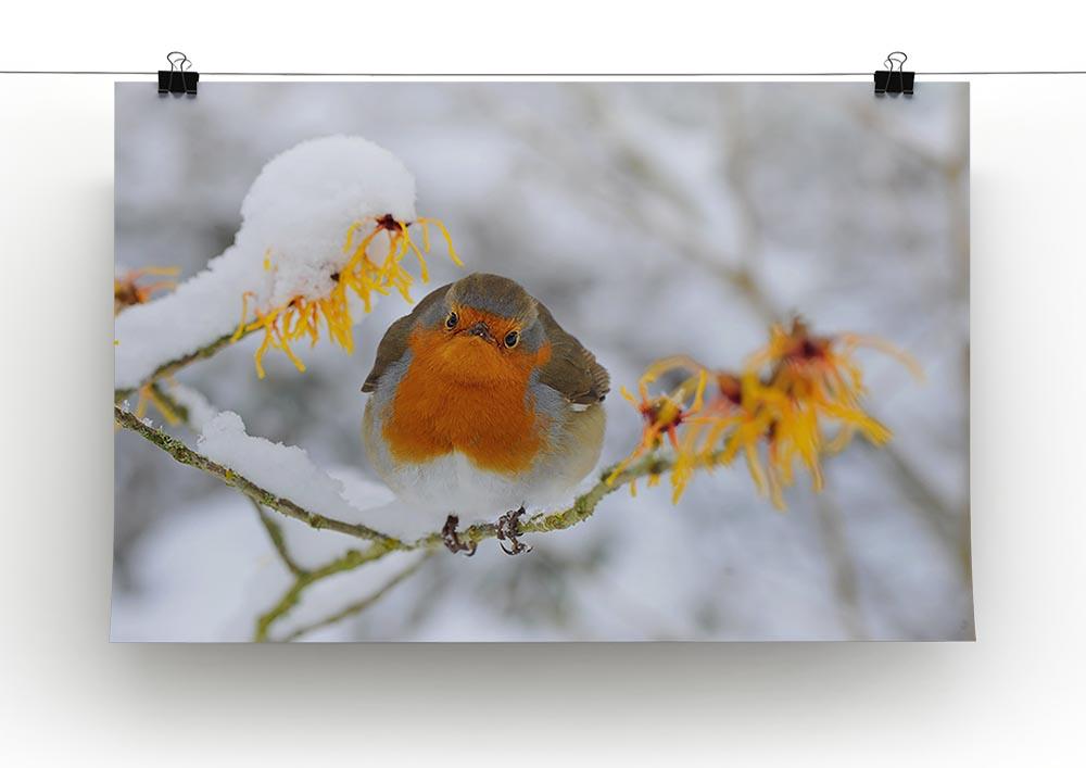 Robin in the Snow Canvas Print or Poster - Canvas Art Rocks - 2