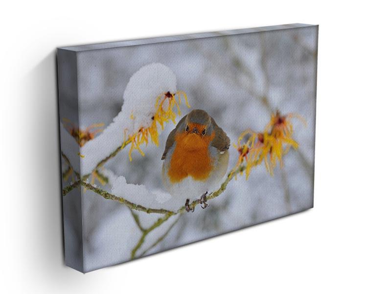 Robin in the Snow Canvas Print or Poster - Canvas Art Rocks - 3