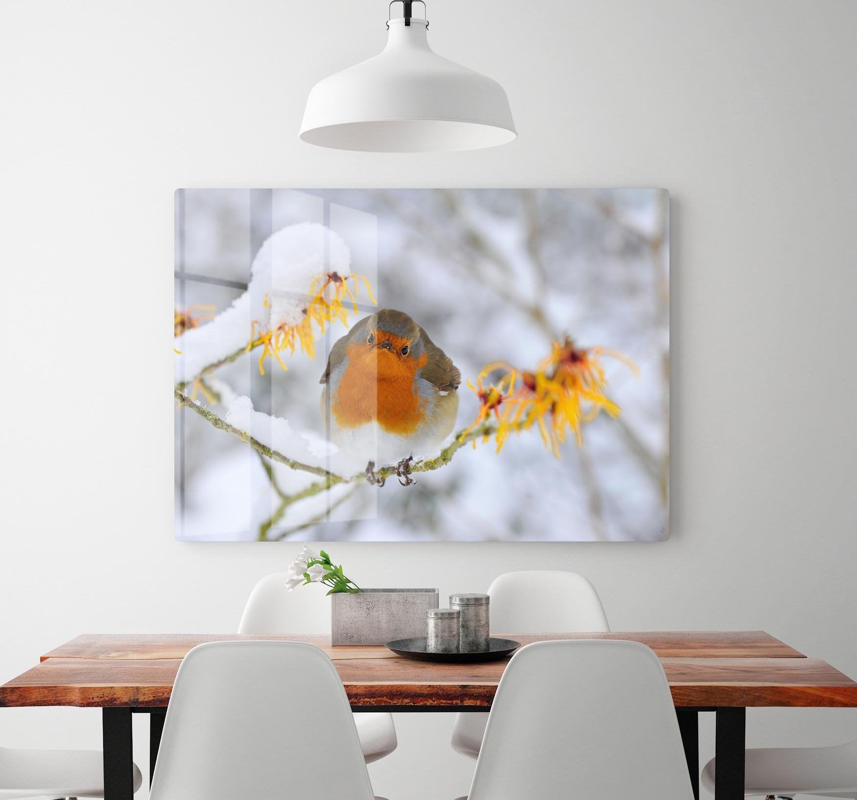 Robin in the Snow HD Metal Print - Canvas Art Rocks - 2