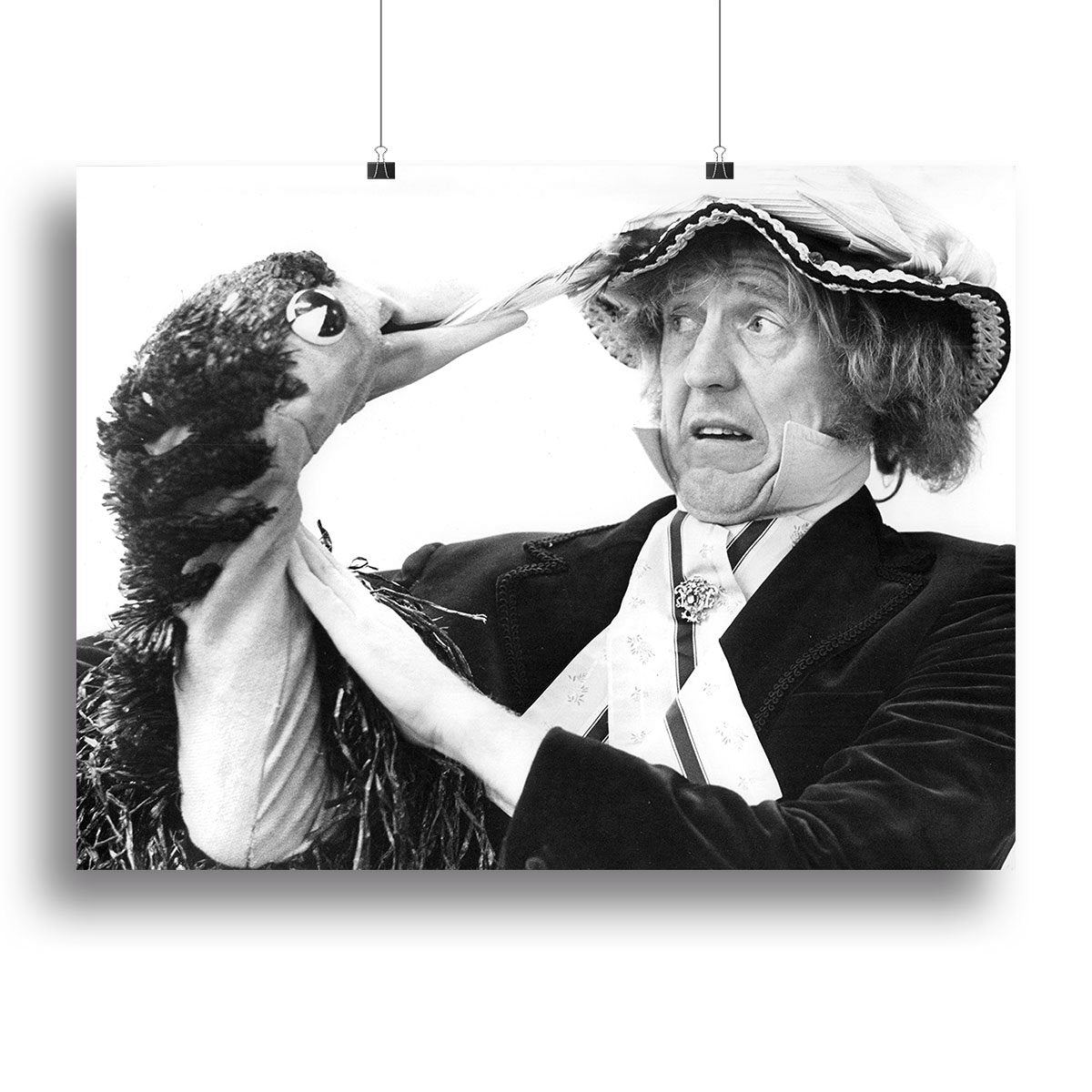 Rod Hull and Emu Canvas Print or Poster