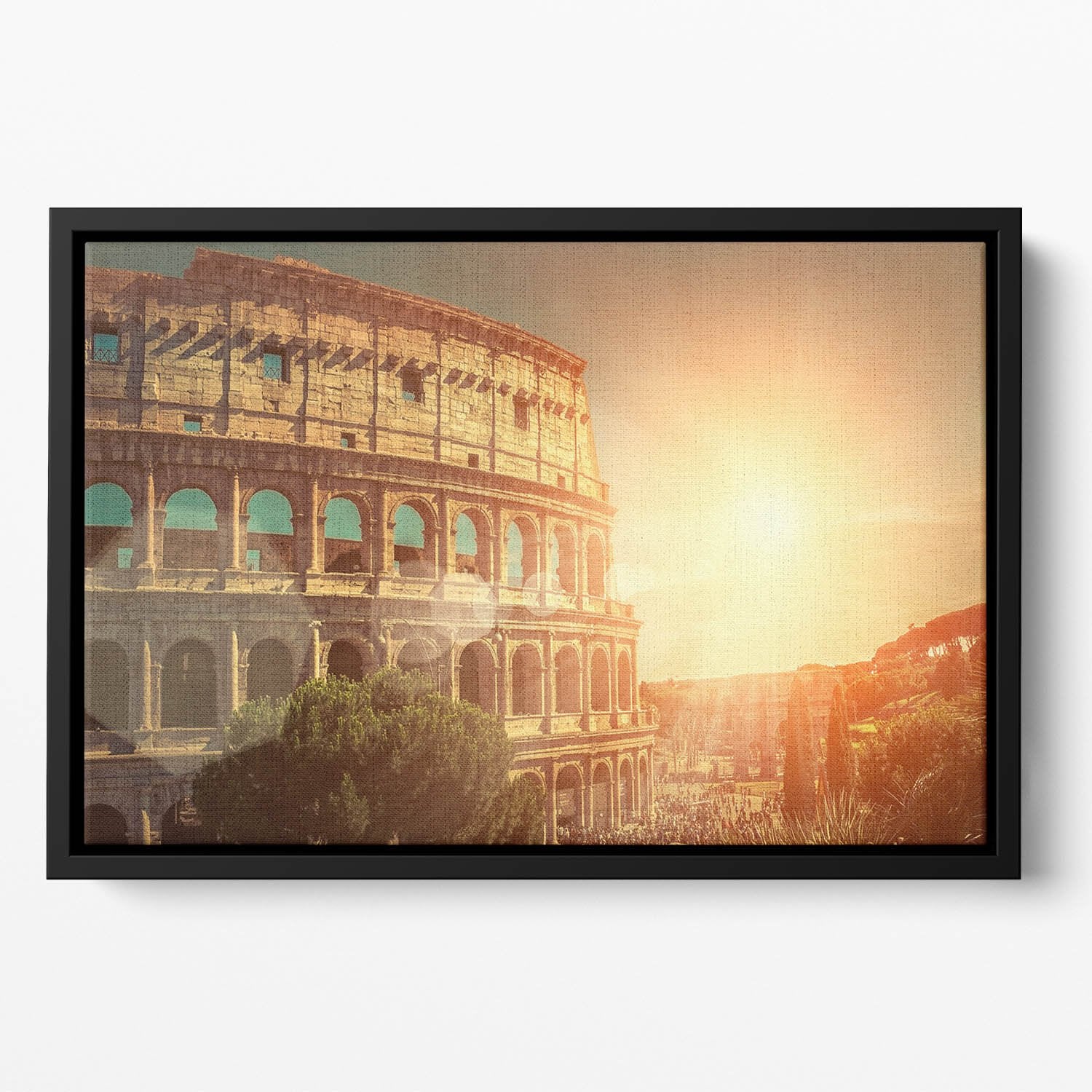 Roman Coliseum Floating Framed Canvas
