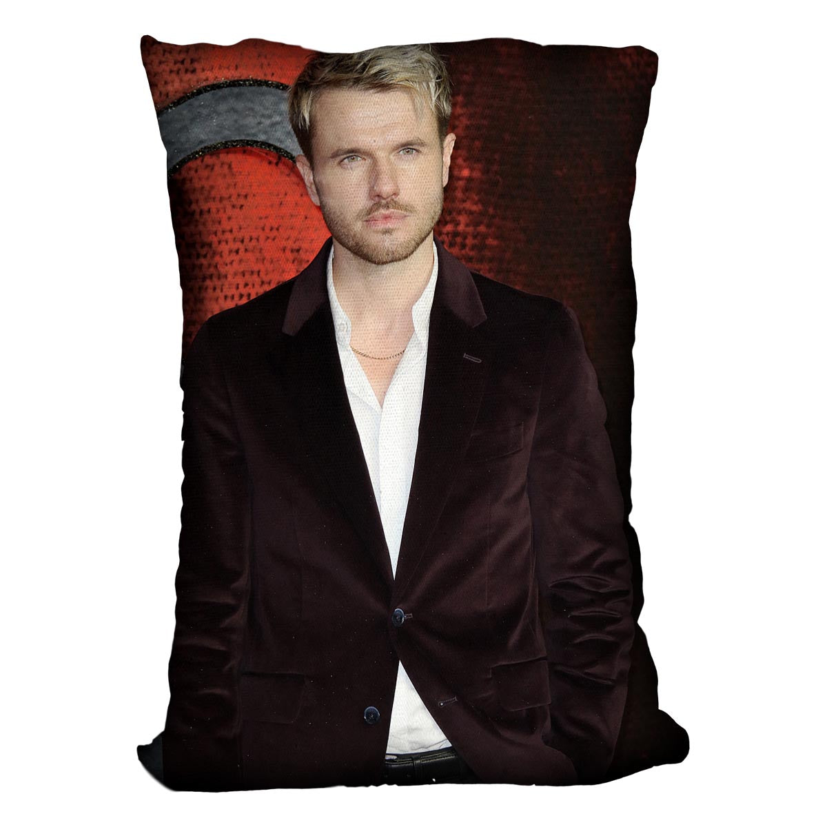 Ronan Raftery Cushion