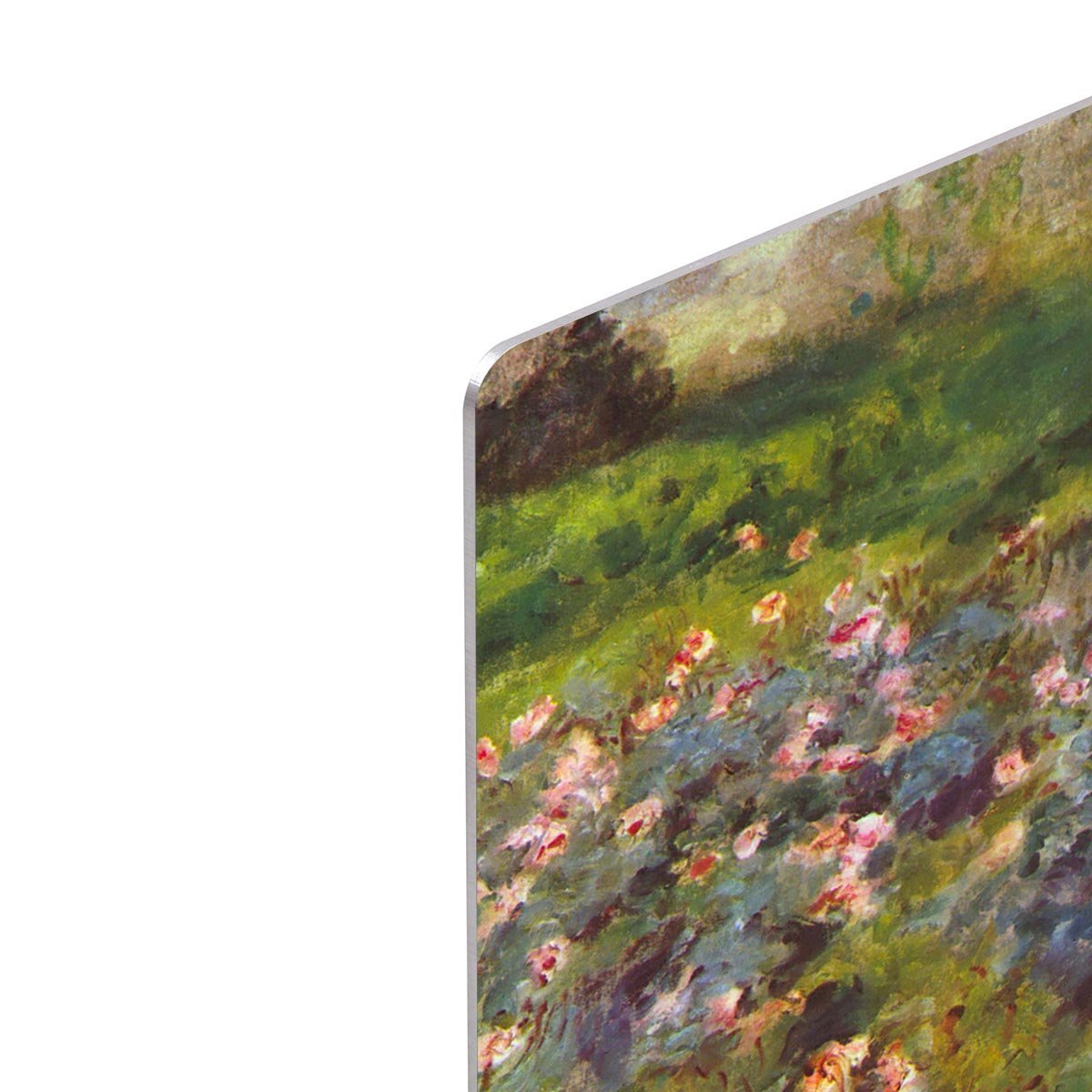 Rose Garden by Renoir HD Metal Print