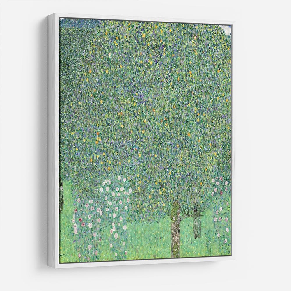 Rose bushes under the Trees by Klimt HD Metal Print