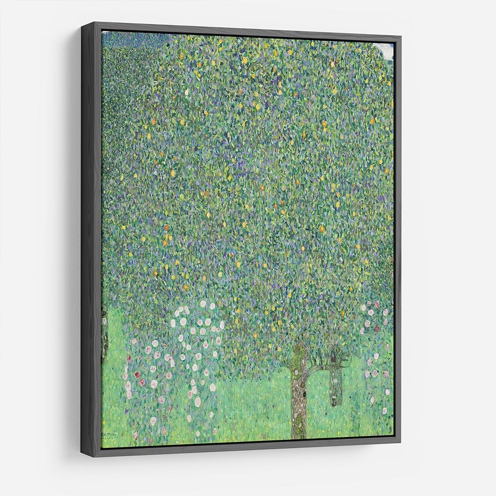 Rose bushes under the Trees by Klimt HD Metal Print