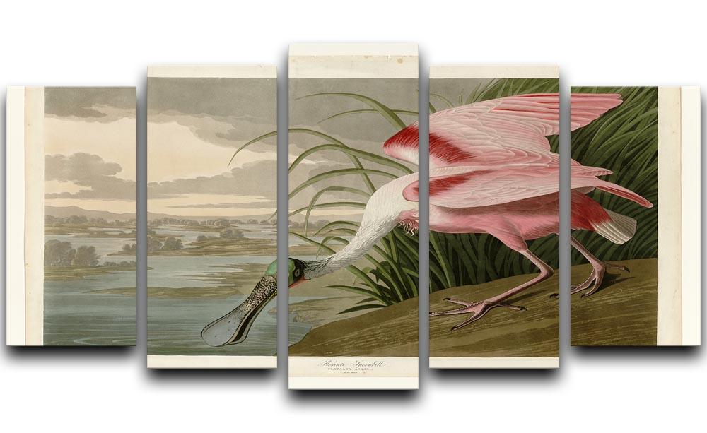 Roseate Spoonbill by Audubon 5 Split Panel Canvas - Canvas Art Rocks - 1