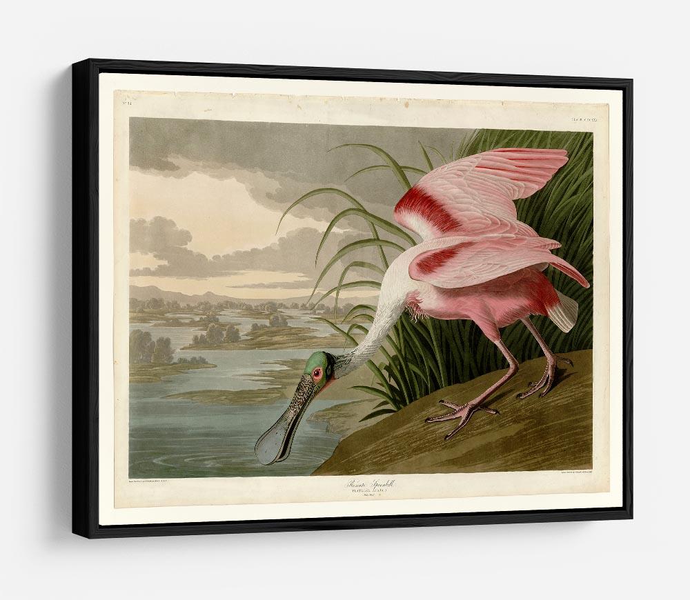 Roseate Spoonbill by Audubon HD Metal Print - Canvas Art Rocks - 6