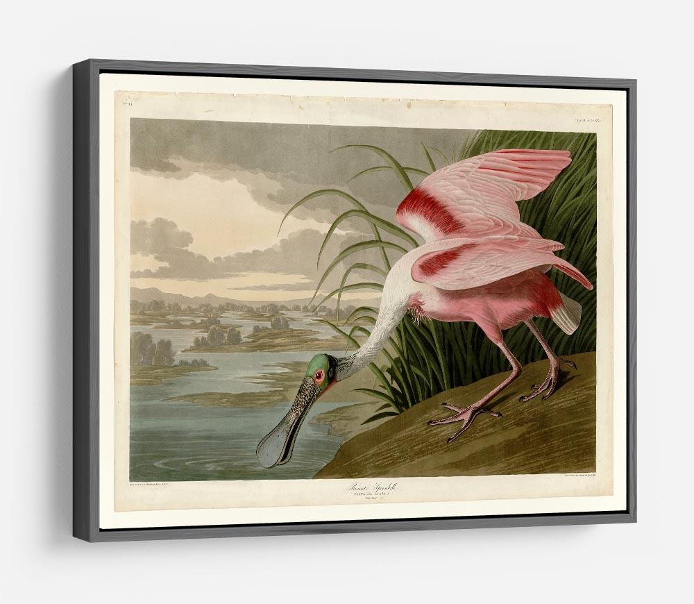 Roseate Spoonbill by Audubon HD Metal Print - Canvas Art Rocks - 9