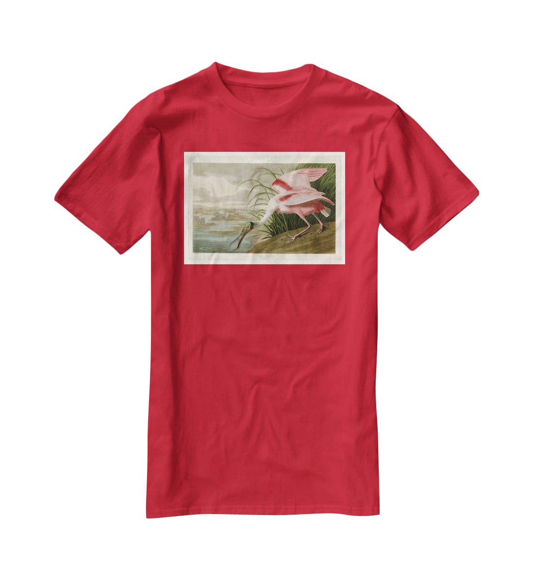 Roseate Spoonbill by Audubon T-Shirt - Canvas Art Rocks - 4