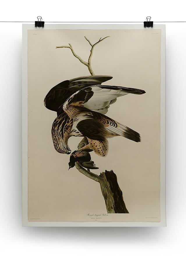 Rough legged Falcon by Audubon Canvas Print or Poster - Canvas Art Rocks - 2