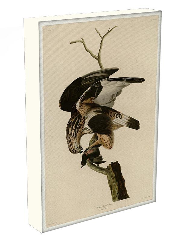 Rough legged Falcon by Audubon Canvas Print or Poster - Canvas Art Rocks - 3