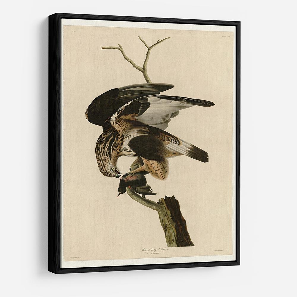 Rough legged Falcon by Audubon HD Metal Print - Canvas Art Rocks - 6
