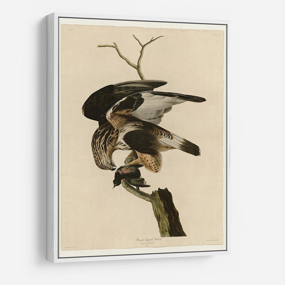 Rough legged Falcon by Audubon HD Metal Print - Canvas Art Rocks - 7