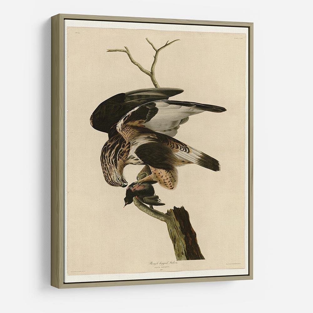 Rough legged Falcon by Audubon HD Metal Print - Canvas Art Rocks - 8