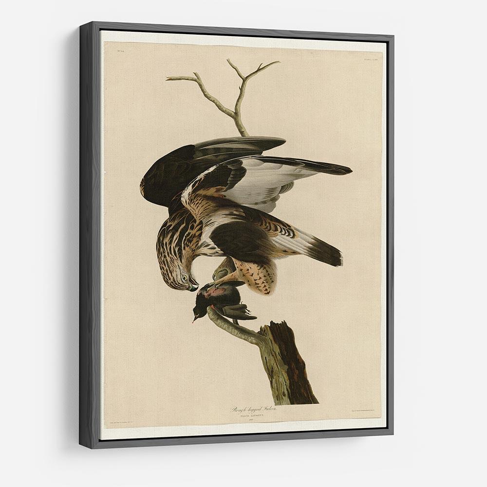 Rough legged Falcon by Audubon HD Metal Print - Canvas Art Rocks - 9