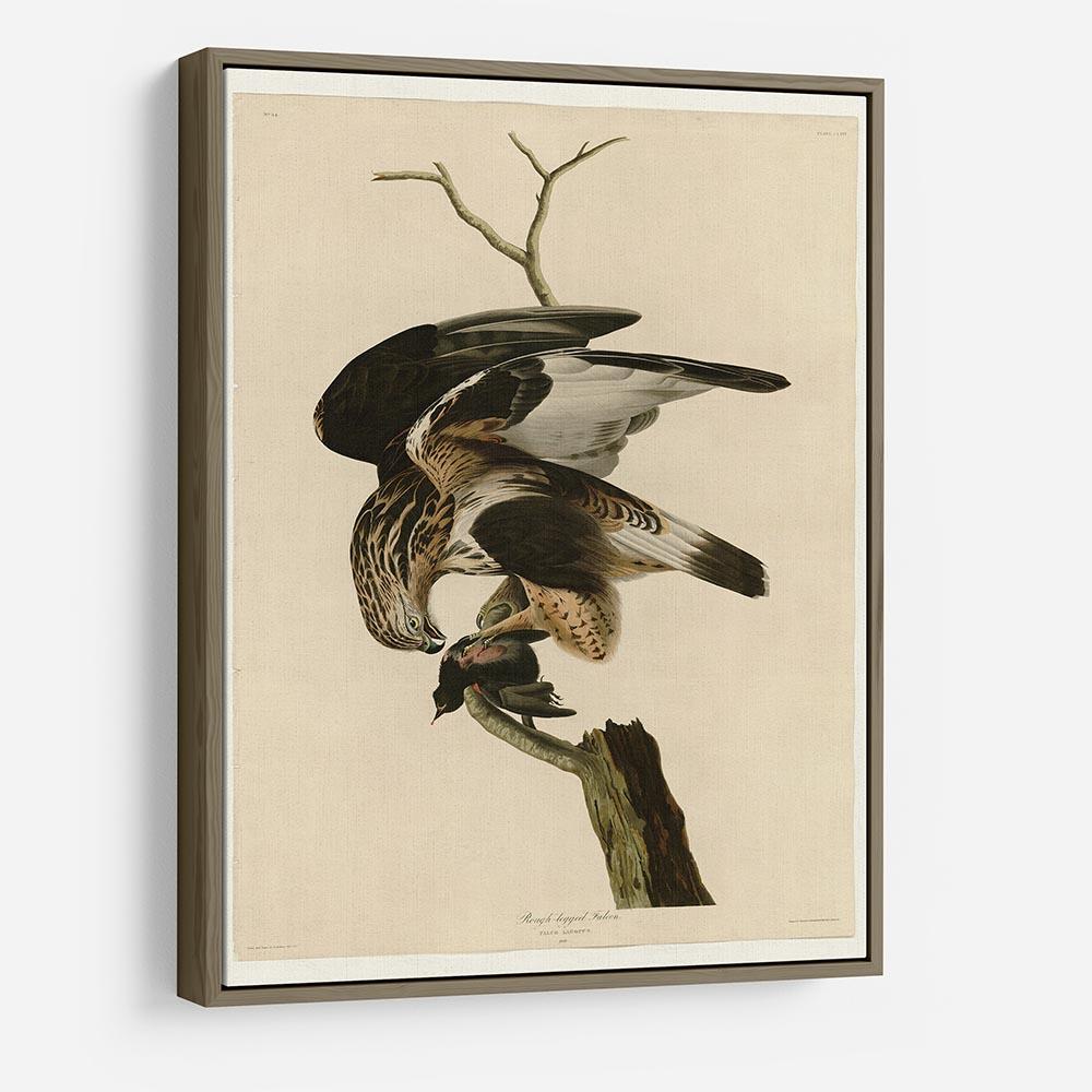 Rough legged Falcon by Audubon HD Metal Print - Canvas Art Rocks - 10