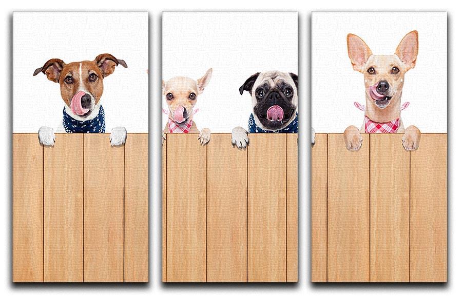 Row of dogs as a group or team 3 Split Panel Canvas Print - Canvas Art Rocks - 1