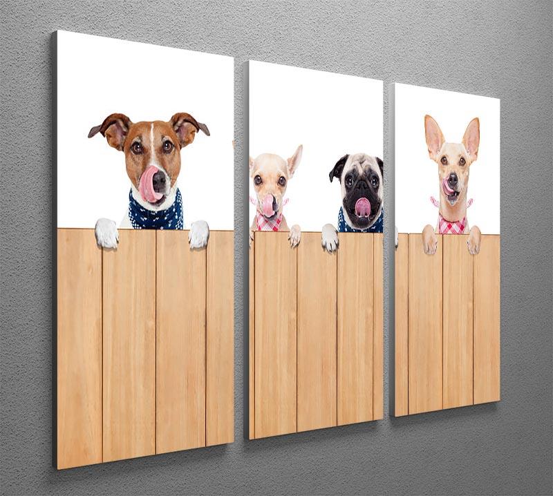 Row of dogs as a group or team 3 Split Panel Canvas Print - Canvas Art Rocks - 2