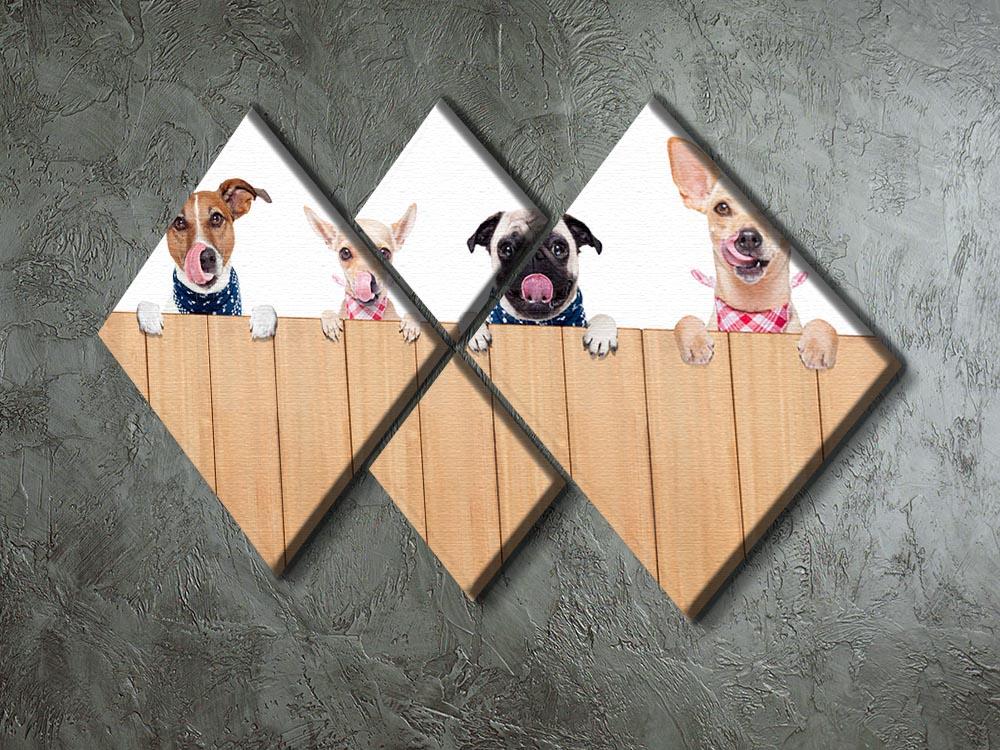 Row of dogs as a group or team 4 Square Multi Panel Canvas - Canvas Art Rocks - 2