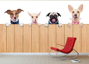 Row of dogs as a group or team Wall Mural Wallpaper - Canvas Art Rocks - 2