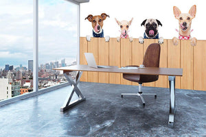 Row of dogs as a group or team Wall Mural Wallpaper - Canvas Art Rocks - 3