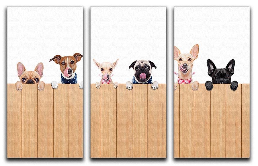 Row of dogs as a group or team all hungry 3 Split Panel Canvas Print - Canvas Art Rocks - 1