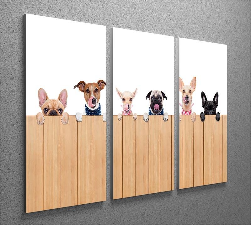 Row of dogs as a group or team all hungry 3 Split Panel Canvas Print - Canvas Art Rocks - 2
