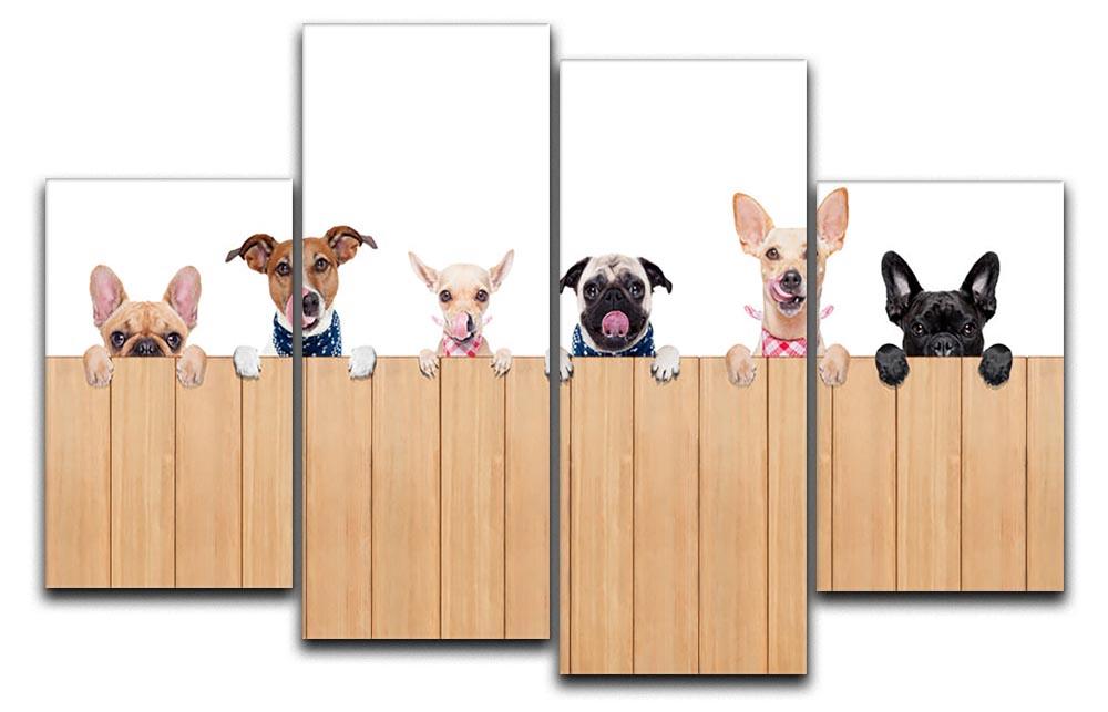 Row of dogs as a group or team all hungry 4 Split Panel Canvas - Canvas Art Rocks - 1