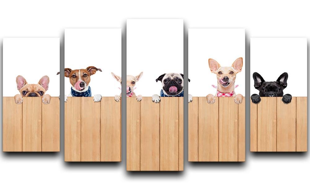Row of dogs as a group or team all hungry 5 Split Panel Canvas - Canvas Art Rocks - 1