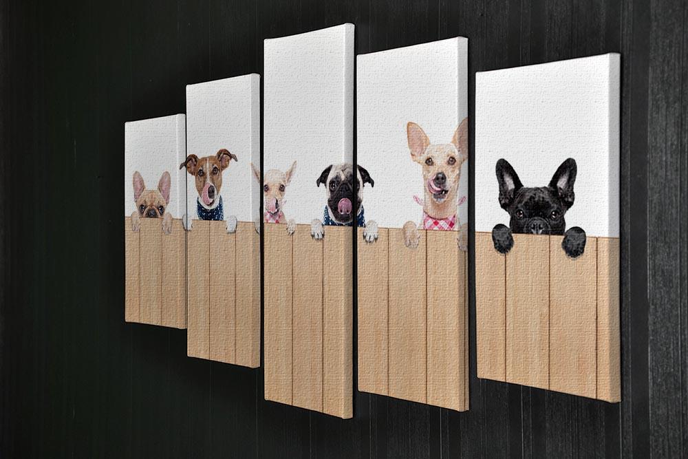 Row of dogs as a group or team all hungry 5 Split Panel Canvas - Canvas Art Rocks - 2
