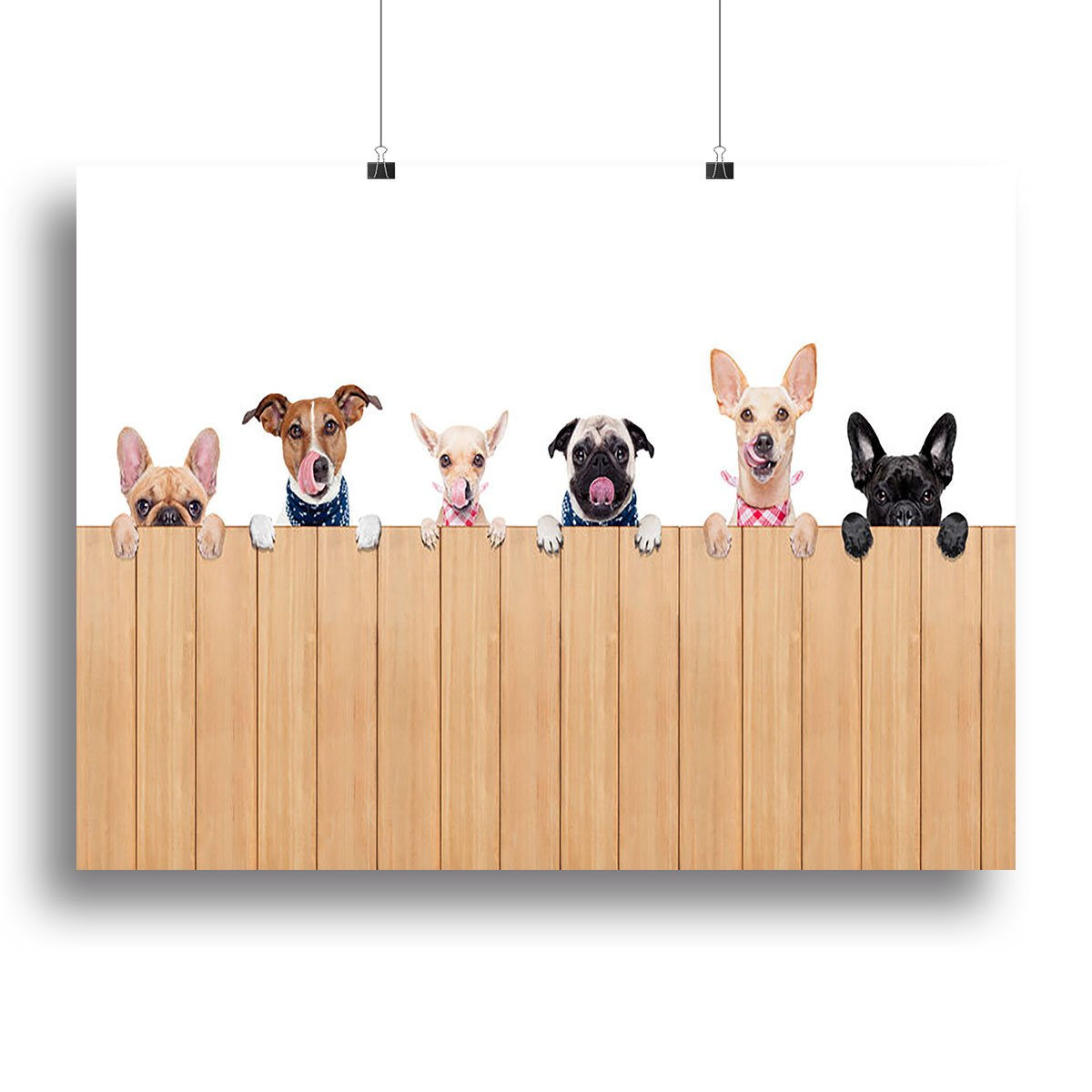 Row of dogs as a group or team all hungry Canvas Print or Poster