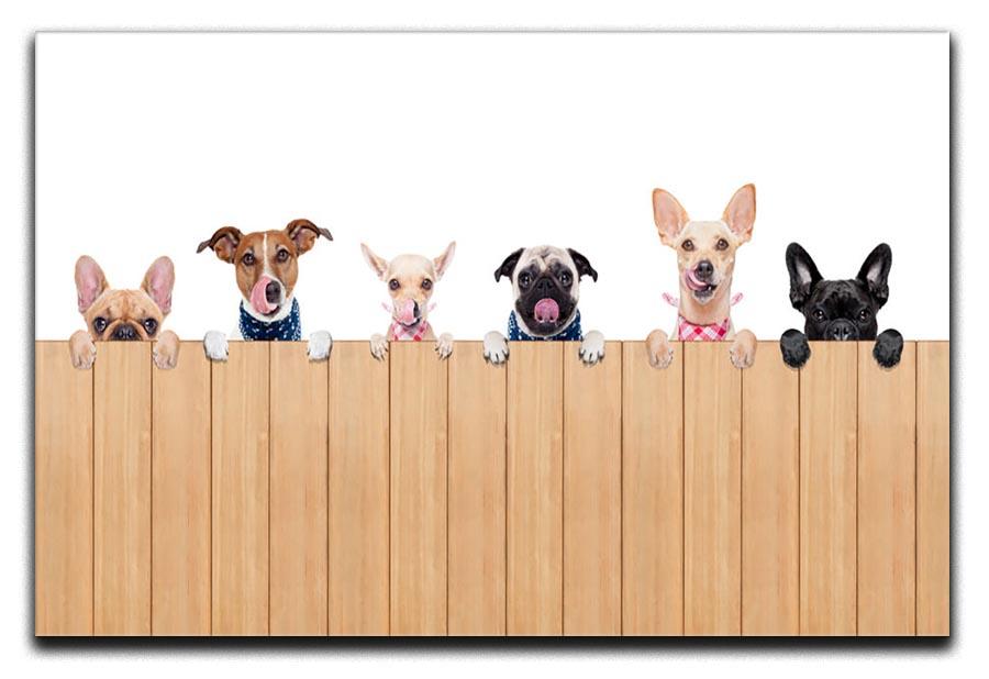 Row of dogs as a group or team all hungry Canvas Print or Poster - Canvas Art Rocks - 1
