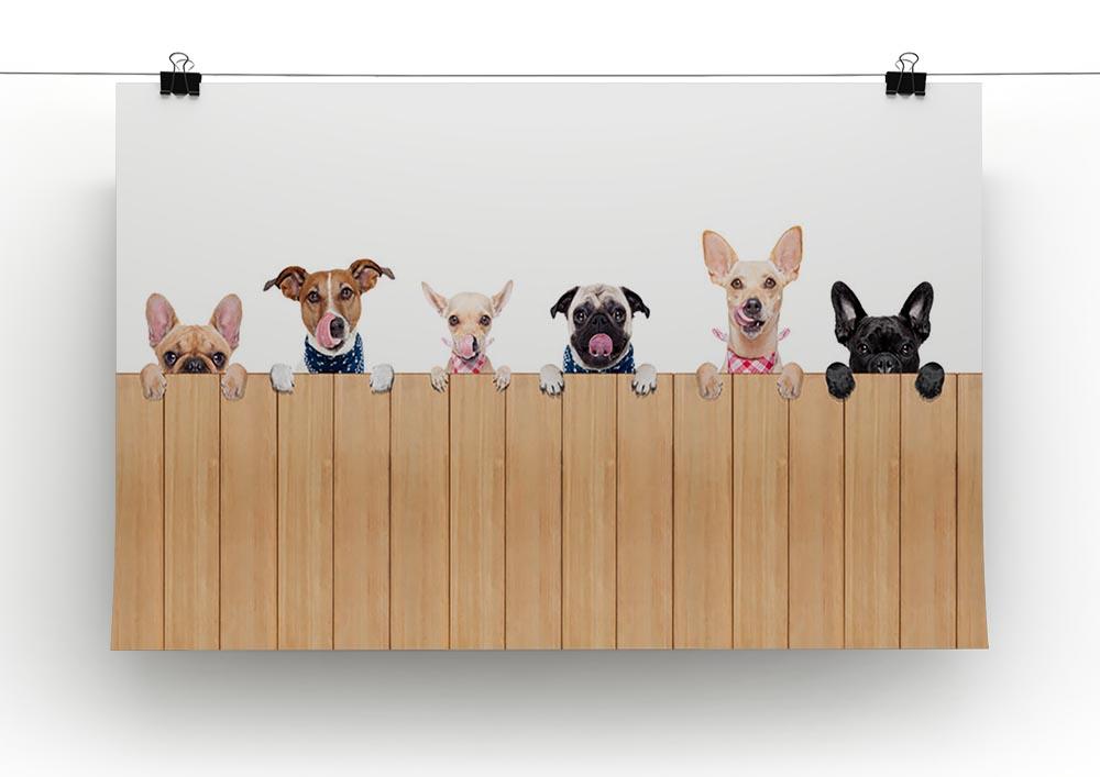 Row of dogs as a group or team all hungry Canvas Print or Poster - Canvas Art Rocks - 2
