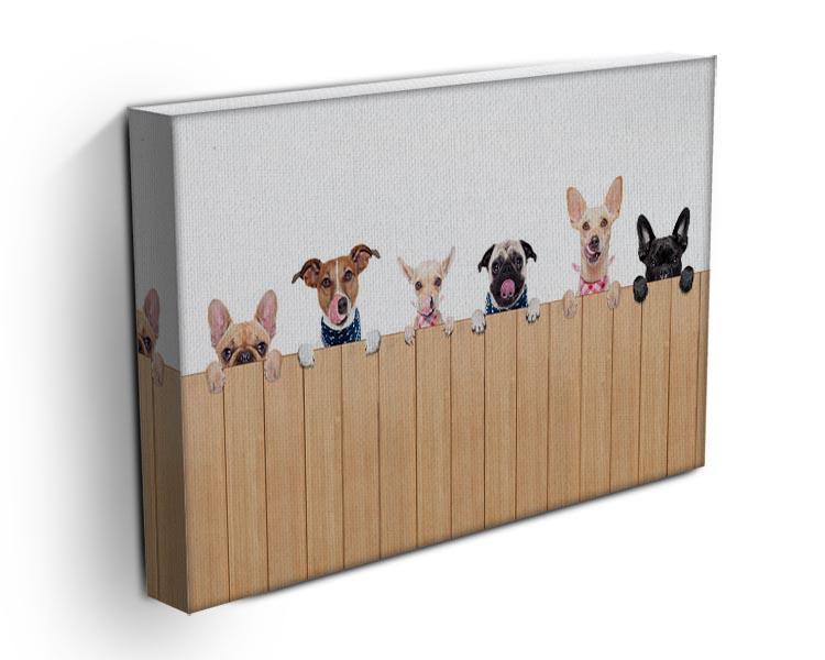 Row of dogs as a group or team all hungry Canvas Print or Poster - Canvas Art Rocks - 3