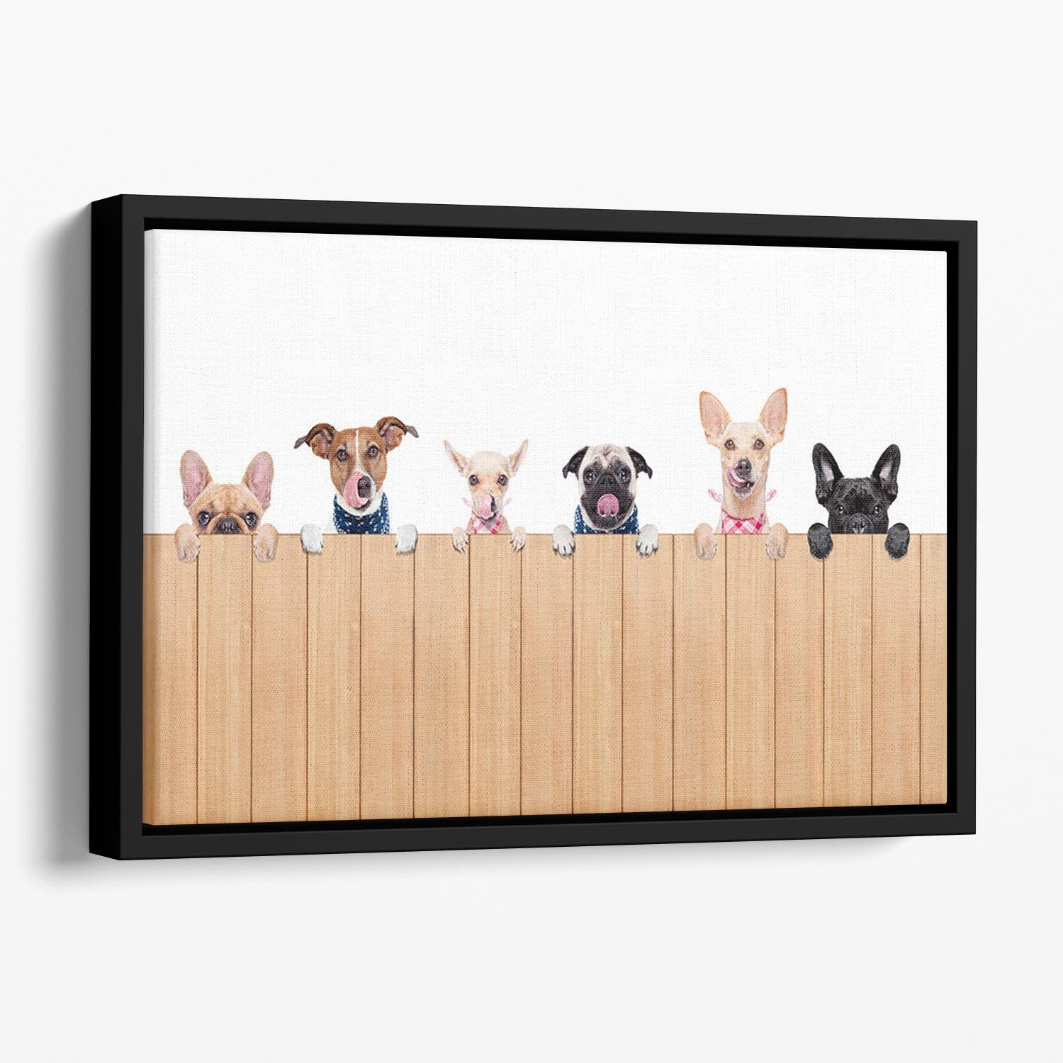 Row of dogs as a group or team all hungry Floating Framed Canvas - Canvas Art Rocks - 1