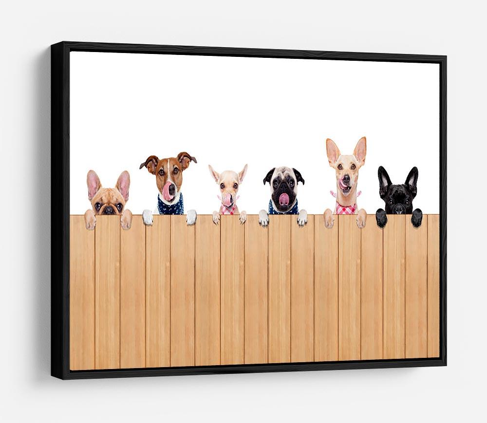 Row of dogs as a group or team all hungry HD Metal Print - Canvas Art Rocks - 6