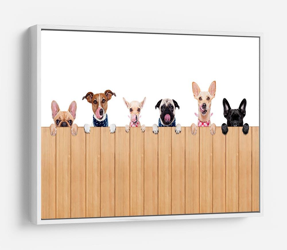 Row of dogs as a group or team all hungry HD Metal Print - Canvas Art Rocks - 7