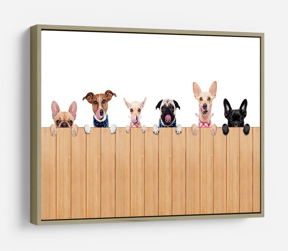 Row of dogs as a group or team all hungry HD Metal Print - Canvas Art Rocks - 8