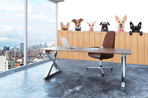 Row of dogs as a group or team all hungry Wall Mural Wallpaper - Canvas Art Rocks - 3