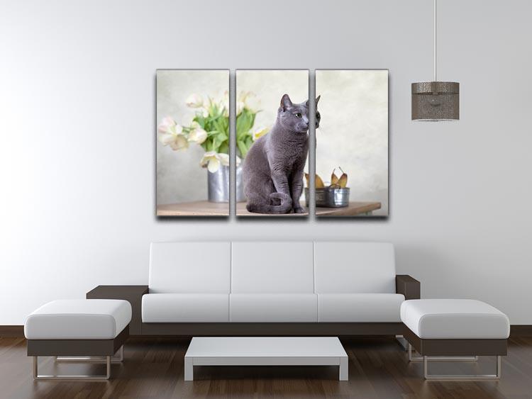 Russian Blue cat sitting on table with pears and tulips 3 Split Panel Canvas Print - Canvas Art Rocks - 3