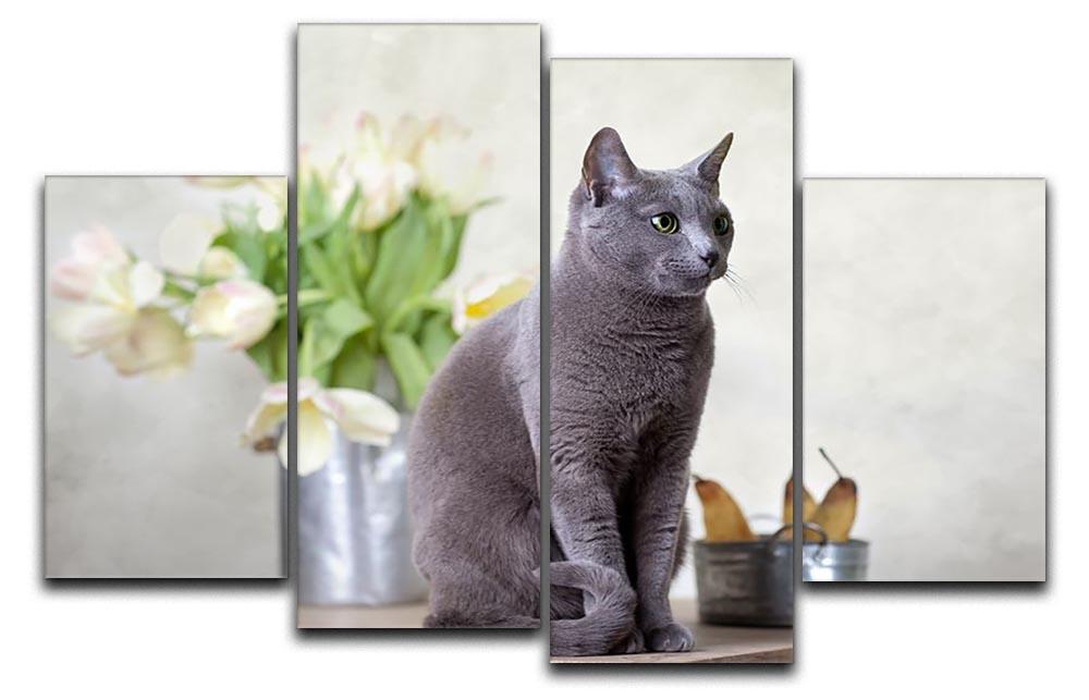 Russian Blue cat sitting on table with pears and tulips 4 Split Panel Canvas - Canvas Art Rocks - 1
