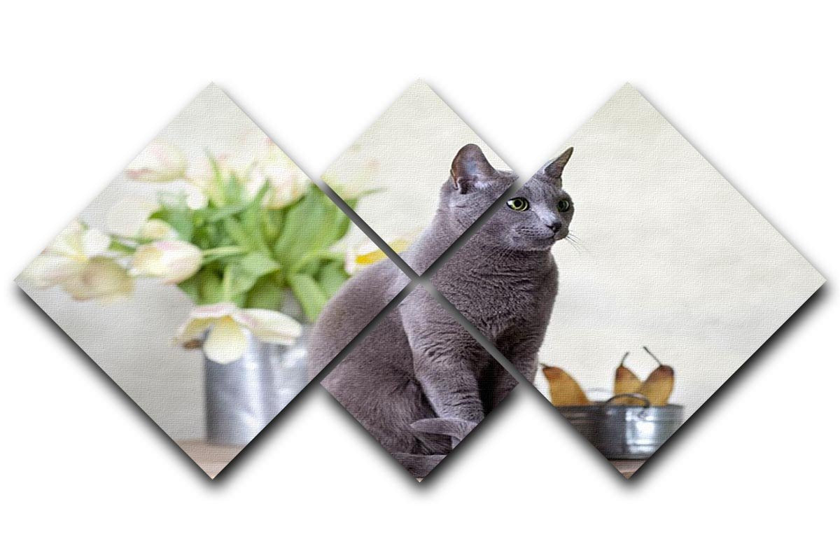 Russian Blue cat sitting on table with pears and tulips 4 Square Multi Panel Canvas - Canvas Art Rocks - 1