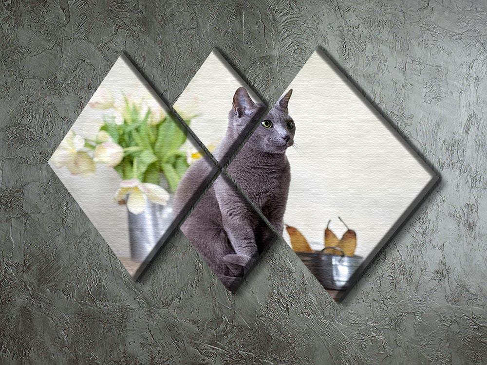Russian Blue cat sitting on table with pears and tulips 4 Square Multi Panel Canvas - Canvas Art Rocks - 2