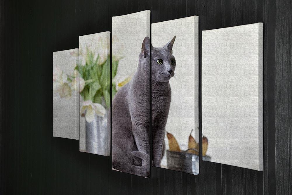 Russian Blue cat sitting on table with pears and tulips 5 Split Panel Canvas - Canvas Art Rocks - 2