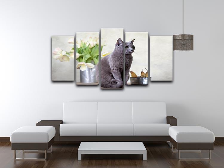 Russian Blue cat sitting on table with pears and tulips 5 Split Panel Canvas - Canvas Art Rocks - 3