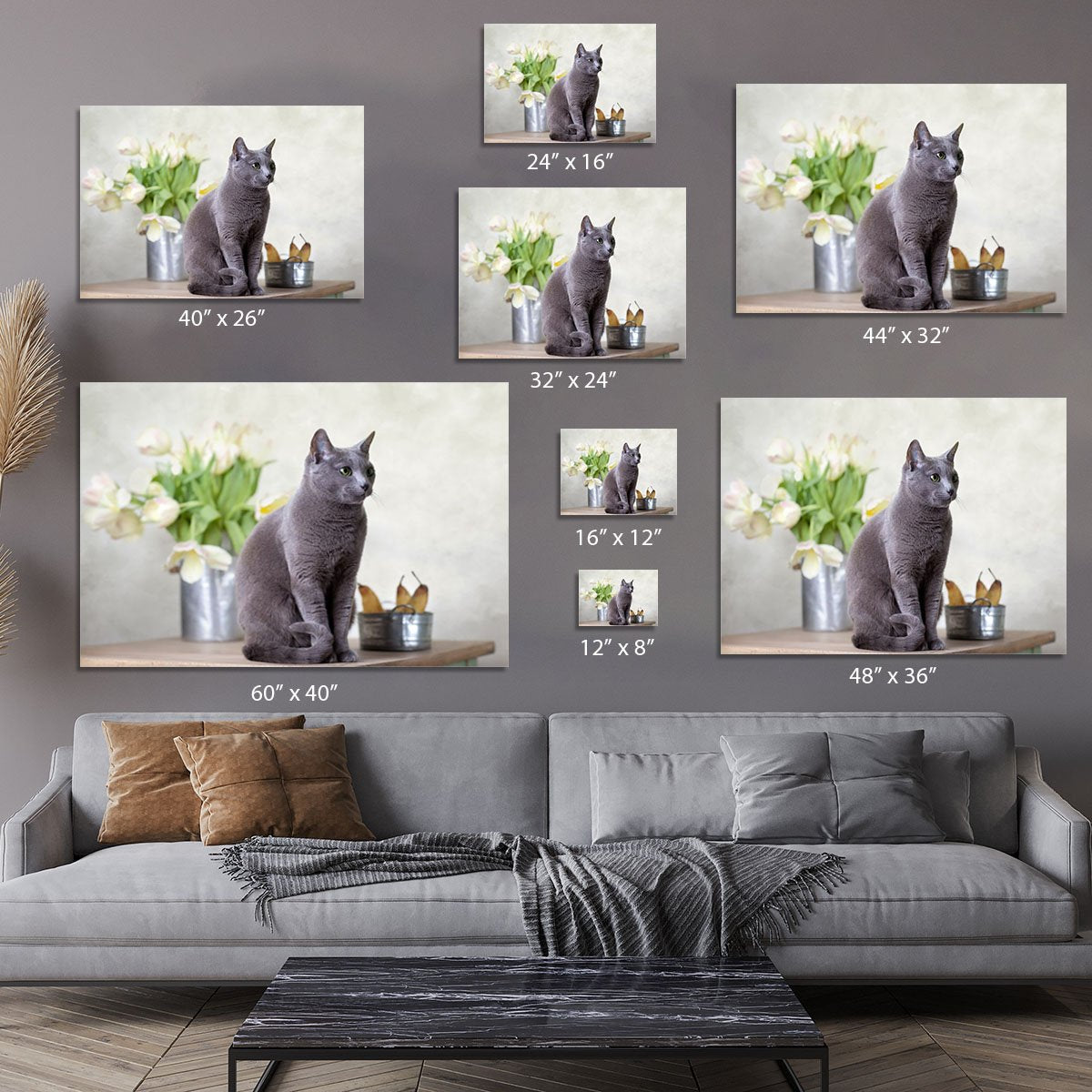Russian Blue cat sitting on table with pears and tulips Canvas Print or Poster